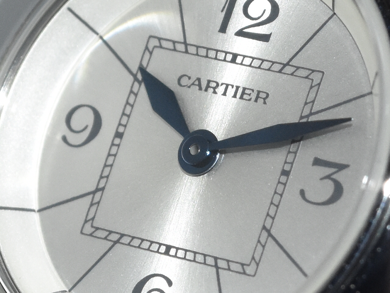 Cartier pasha - W314007